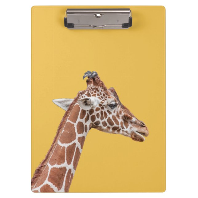 Pranchetas perfil Giraffe (Frente)