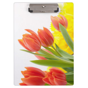 Pranchetas Pétalas De Flor De Tulipas - Natureza Decorânea La