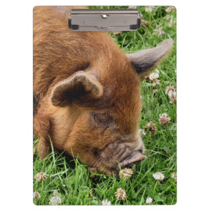PRANCHETAS PIG CUTO