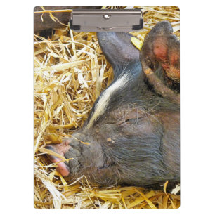 PRANCHETAS PIG CUTO