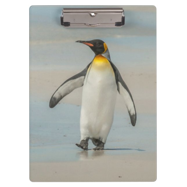 Pranchetas Pinguim caminhando na praia (Frente)