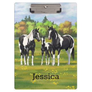 Pranchetas Pinto Negro Pinto Quarto Cavalos Na Pastagem De Ve