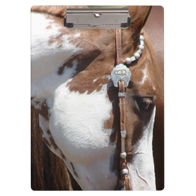 Pranchetas Pinto Ocidental (Frente)