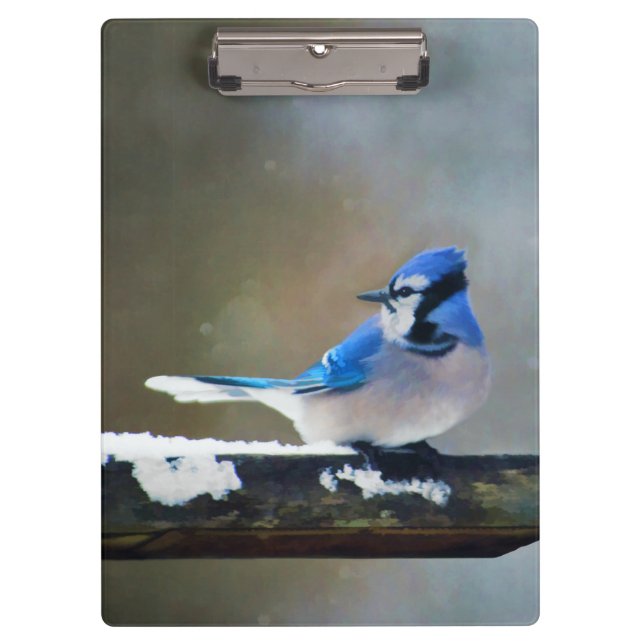 Pranchetas Pintura Blue Jay - Arte Original para Pássaros (Frente)