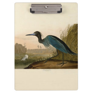 Pranchetas Pintura de Heron Audubon com Crane Azul