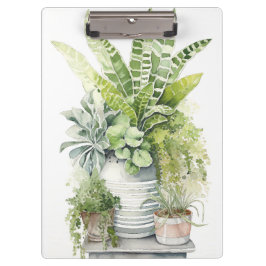 Pranchetas Plantas Domésticas
