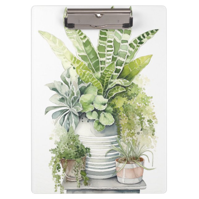 Pranchetas Plantas Domésticas (Frente)