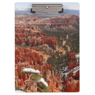 Pranchetas Ponto de Inspiração no Bryce Canyon I
