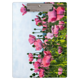 Pranchetas Poppies Rosa