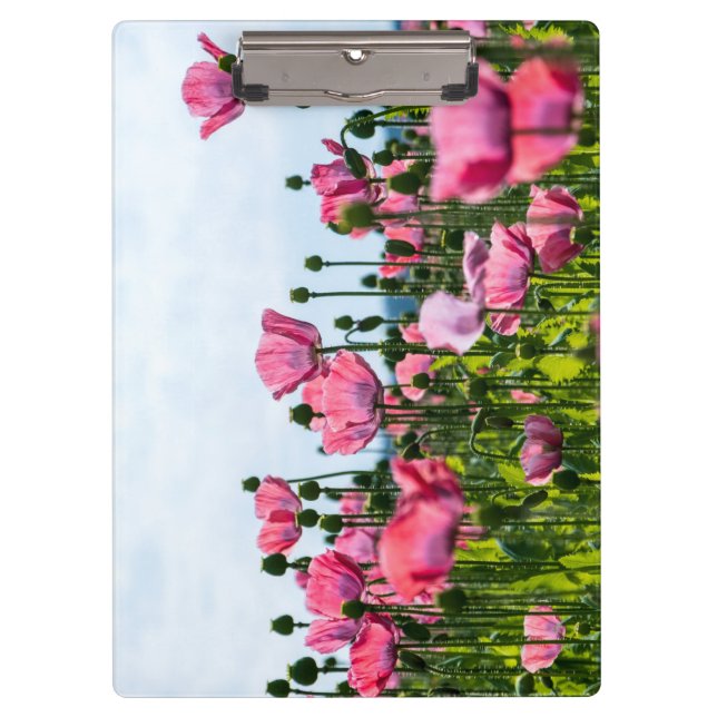 Pranchetas Poppies Rosa (Frente)