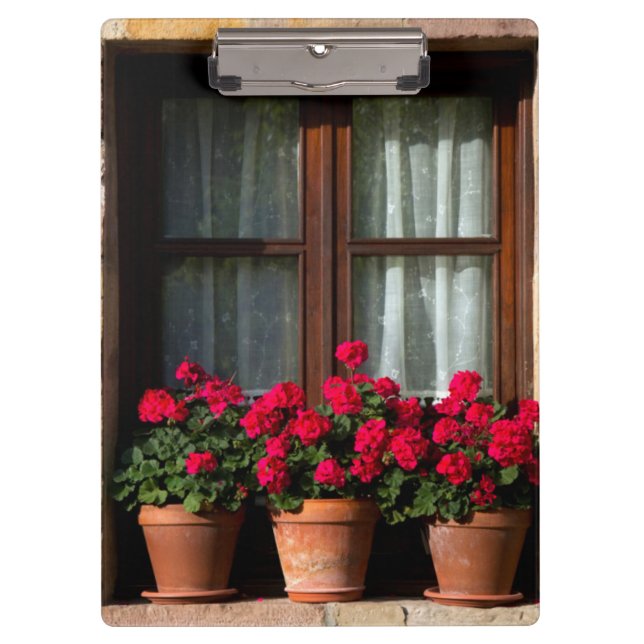 Pranchetas potes de flores de janela na aldeia (Frente)