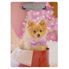 Pranchetas Presente de Natal Cachorro Cachorrinho Presente