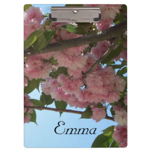 Pranchetas Primavera cor-de-rosa de florescência dobro da