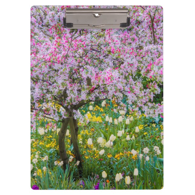 Pranchetas Primavera no jardim de Claude Monet (Frente)