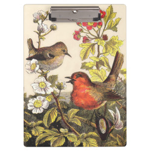 Pranchetas Primavera Robin Birds Red Birds