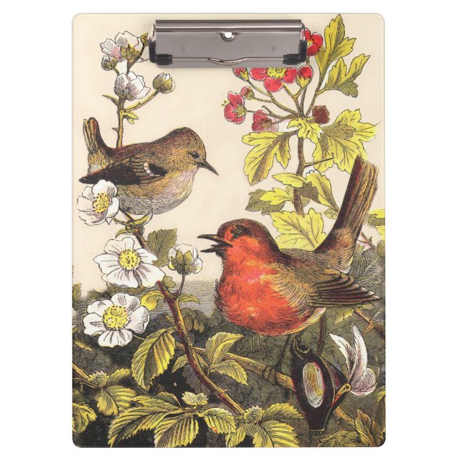 Pranchetas Primavera Robin Birds Red Birds (Frente)