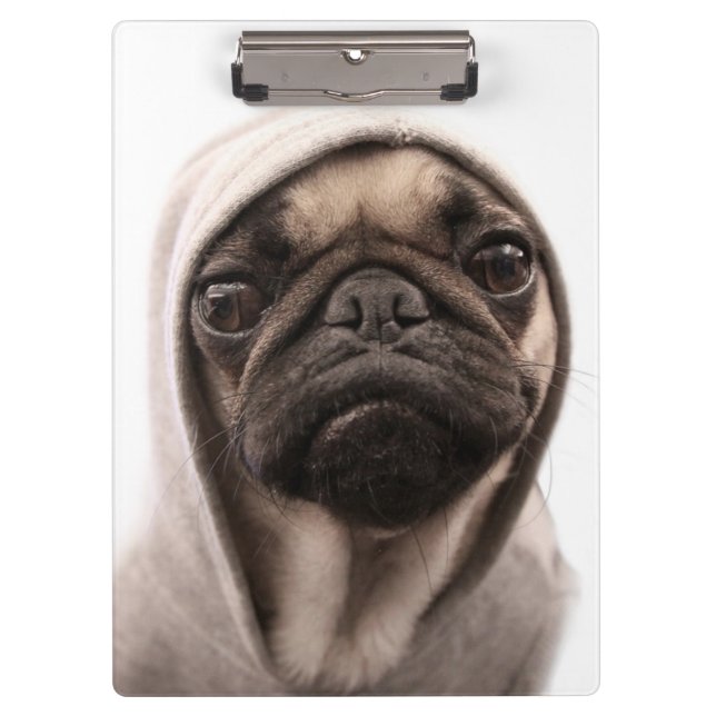 Pranchetas Pug em um Hoodie (Frente)