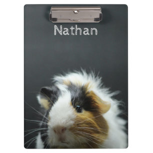 Pranchetas Quadro bonito da cobaia personalizado