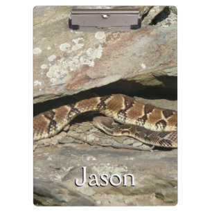 Pranchetas Rattlesnake no Parque Nacional de Shenandoah