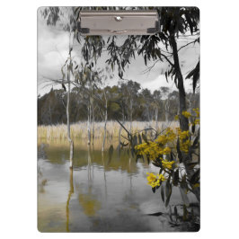 Pranchetas Reflexões Por Baixo Do Céu Da Cinza