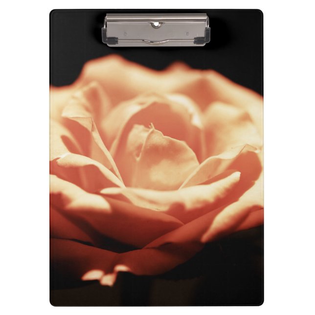 Pranchetas Rosa de Vintage (Frente)