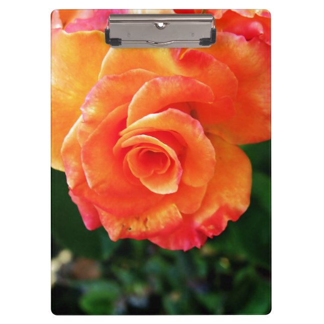 Pranchetas Rosa flor de laranja (Frente)