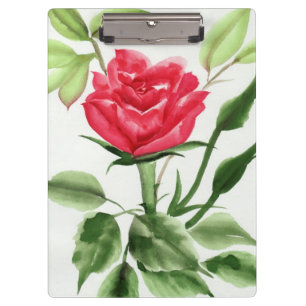 Pranchetas Rosa vermelha