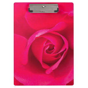 Pranchetas Rosa vermelho romântico v2 do rosa