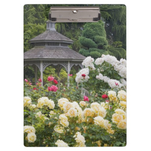 Pranchetas Rosas no Jardim Rosa da Flor e Gazebo