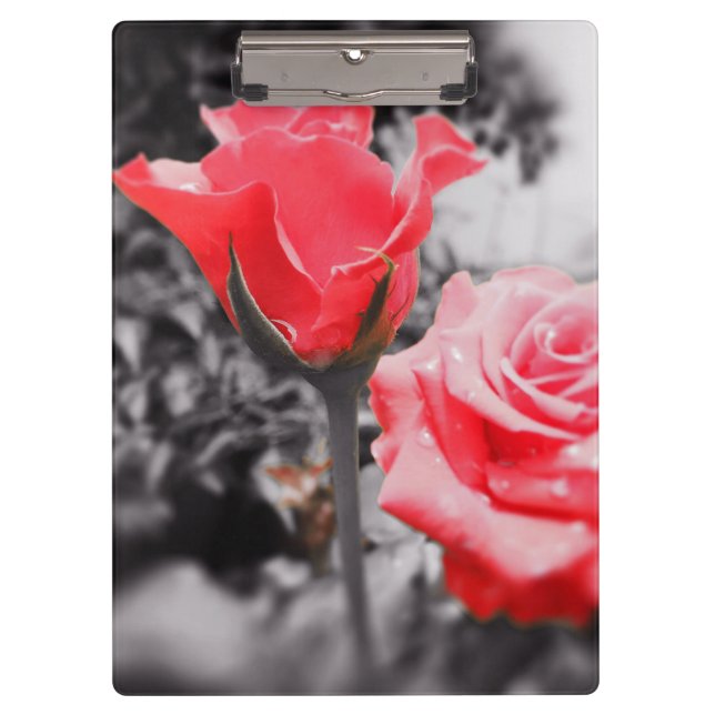 Pranchetas Rosas vermelhas Vintage (Frente)