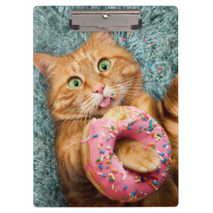 Pranchetas Rosquinha para alimentação de gatos