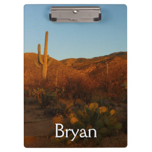 Pranchetas Saguaro Sunset I Arizona Desert Landscape