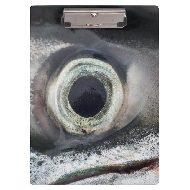 Pranchetas Salmão Eye (Frente)