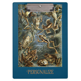 Pranchetas Sapo e sapo Ernst Haeckel vintage