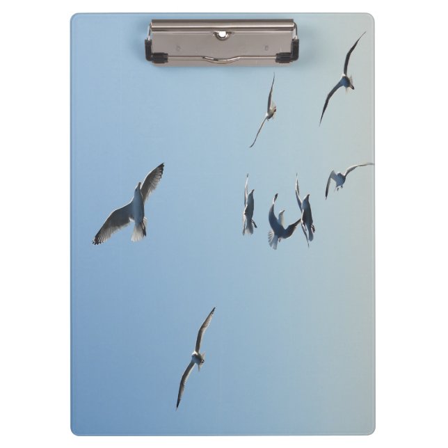 Pranchetas Seagull Wildlife Coastal Design for Field Notes (Frente)