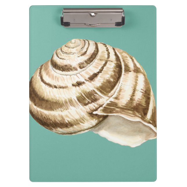 Pranchetas Sepia Striped Shell em Teal (Frente)