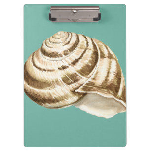 Pranchetas Sepia Striped Shell on Teal