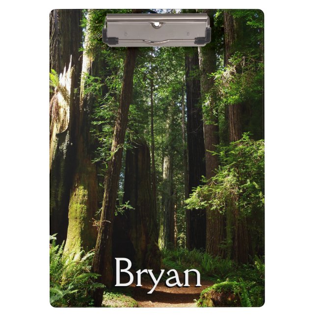 Pranchetas Sequoias e Fernos no Parque Nacional de Redwood (Frente)