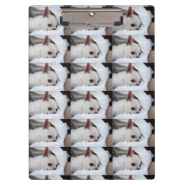 Pranchetas Seu cachorro de estimação, foto personalizada, pad