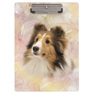 Pranchetas Sheltie enfrenta