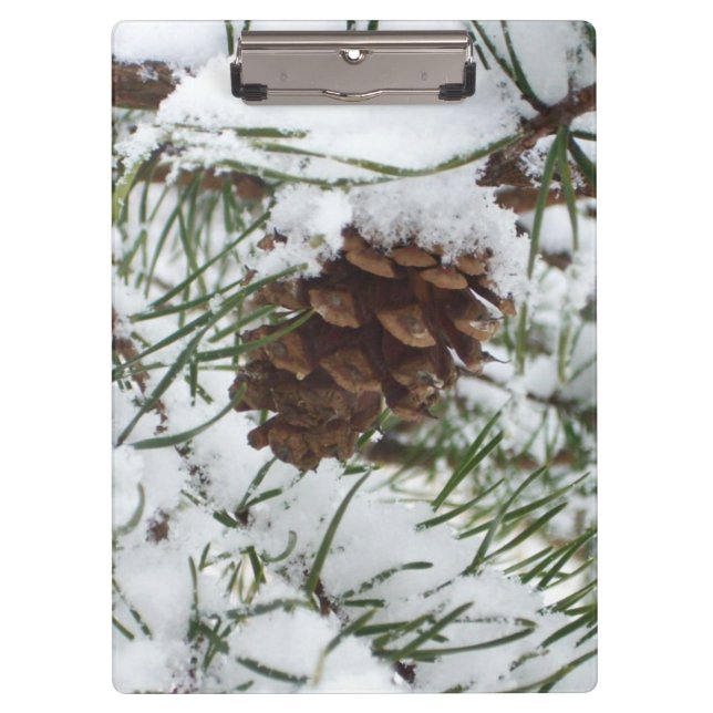 Pranchetas Snowy Pine Cone I Winter Nature Photoshop (Frente)