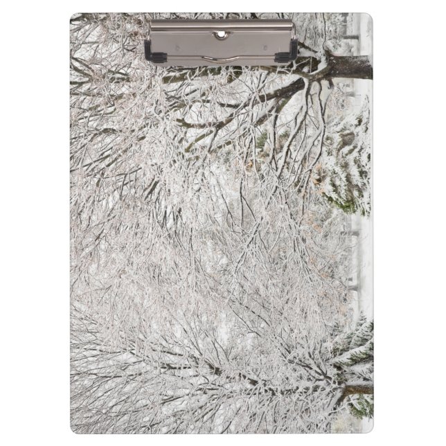 Pranchetas Snowy Winter Forest (Frente)