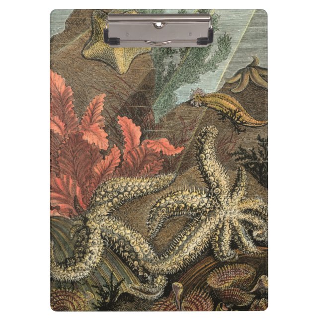 Pranchetas Sob o mar (Frente)