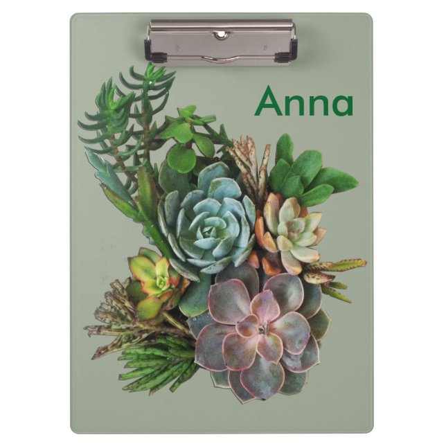 Pranchetas Suculentos da África do Sul (Frente)