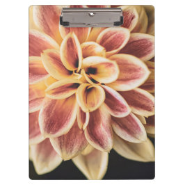 Pranchetas Summer Dahlia Flower (Arte Floral)