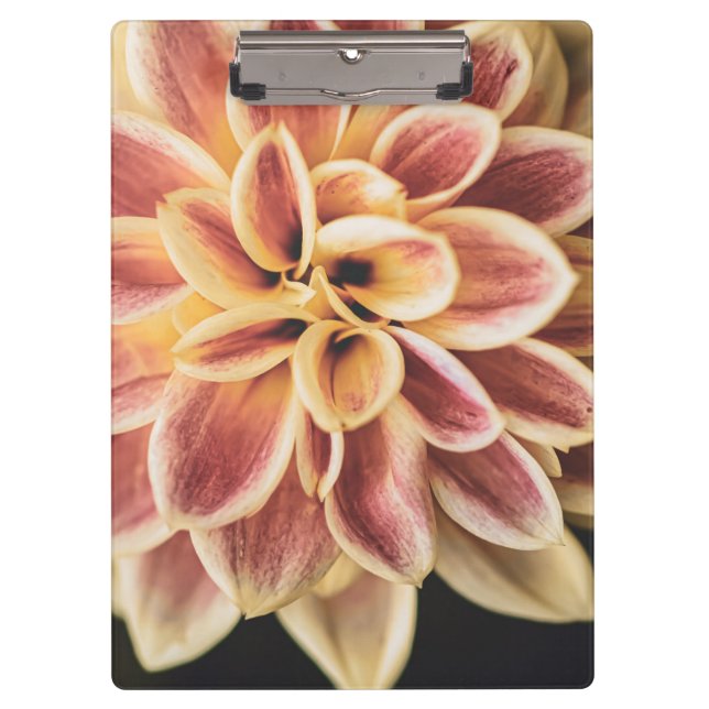 Pranchetas Summer Dahlia Flower (Arte Floral) (Frente)