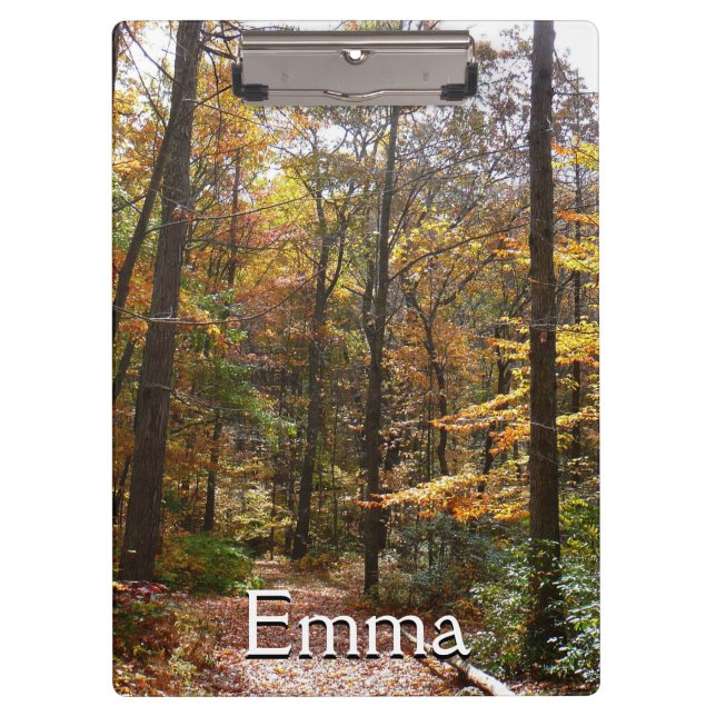 Pranchetas Sunlit Fall Trail no Parque Estadual de Laurel Hil (Frente)