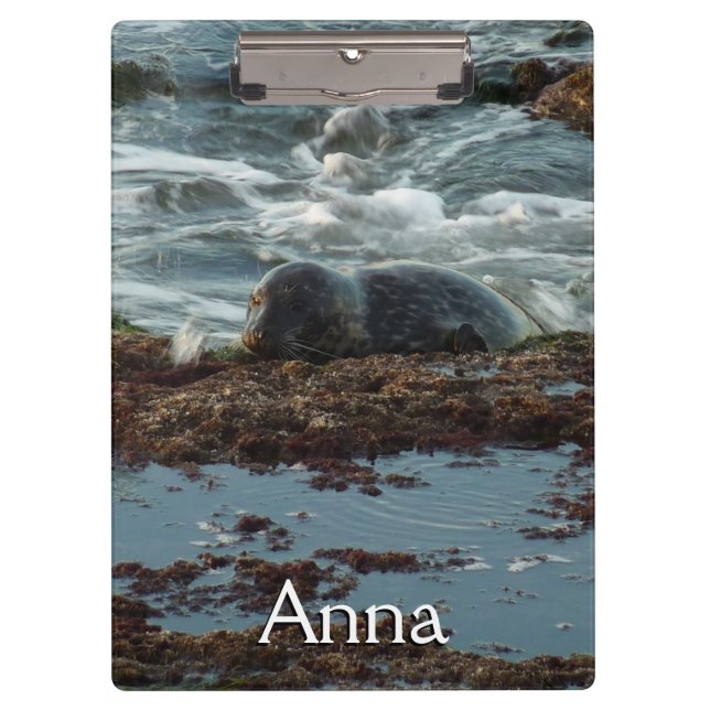 Pranchetas Sunset Lit Harbor Seal I em San Diego (Frente)