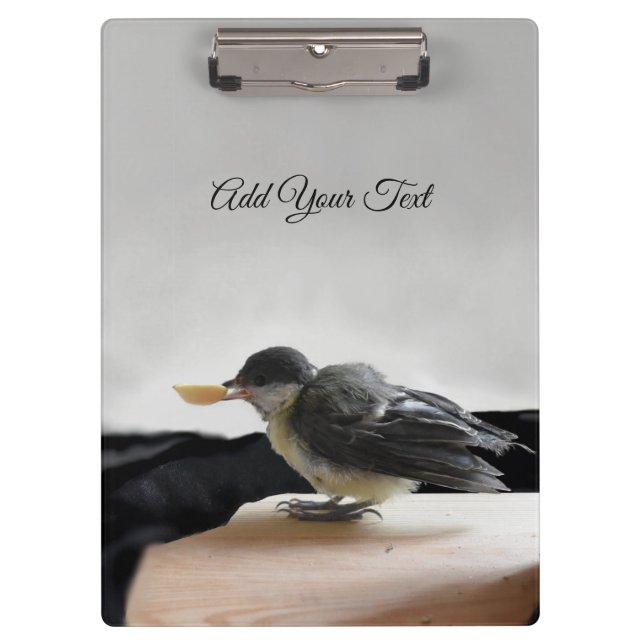 Pranchetas Tidi, meu Pássaro, o Parus Major (Frente)