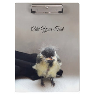 Pranchetas Tidi, meu Pássaro, o Parus Major